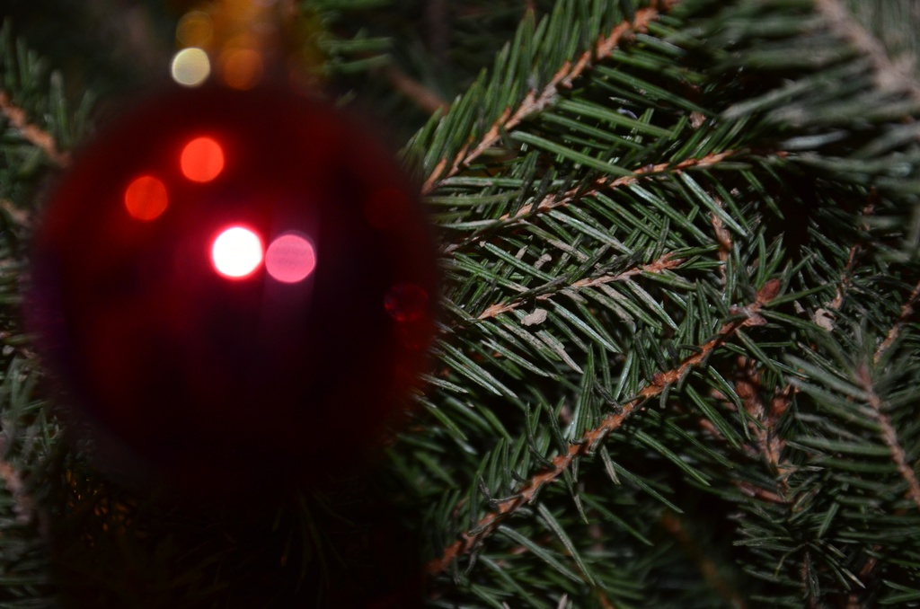 2016-12 France/St Malo/DSC_1101.JPG